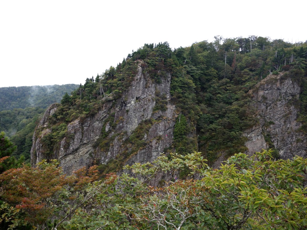 東大台ケ原 ブッシュマン 5 9 6p 武庫勤労者山岳会